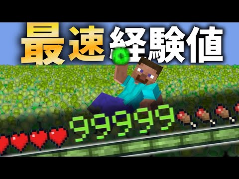 [Minecraft] A Grinder Builds the Ultimate, Fastest XP Farm [Yukkuri Commentary] [AMATERAS SMP]
