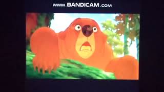 Opening To The Lion King 1 12 Dvd, 2004 Disc 1