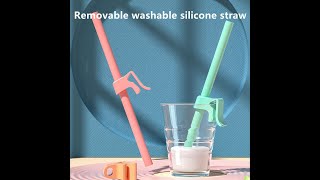 Removable and washable silicone straws