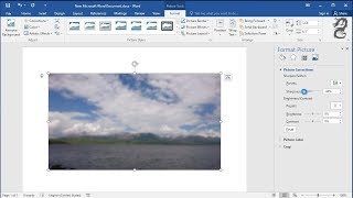 How to Add blur Effect into Image in Word screenshot 5