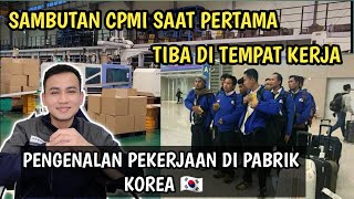 🔴PENGENALAN TEMPAT KERJA SAAT CPMI PERTAMA KALI DATANG ‼️ KERJA DI PABRIK KOREA