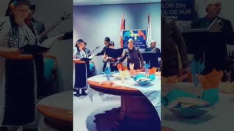 Ion Damian citizenship granting ceremony, his heartfelt gratitude & artistic moments at Romanian Day