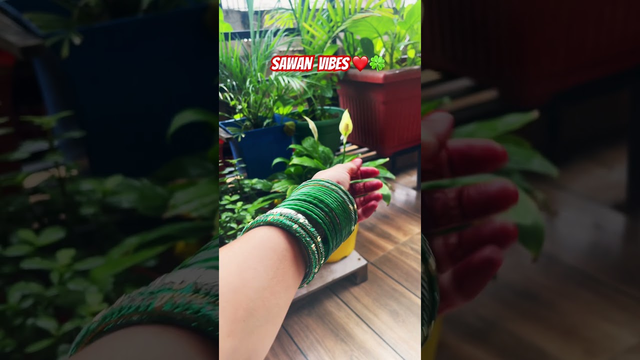 Tere bagair sajan sawan maza na dega😌❤️🍀 