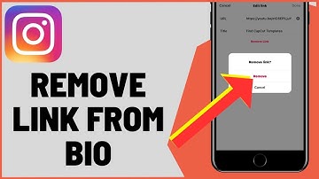 How To Remove Link From Instagram Bio