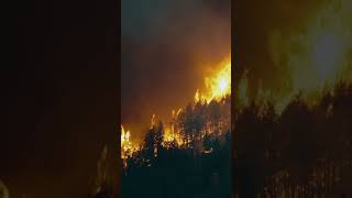 Flying embers. Watch #wildfire on Knowledge.ca. #knowledgenetwork