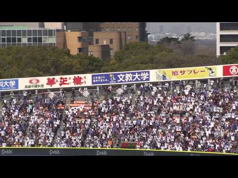 【歌詞付き】横浜DeNAベイスターズ 荒波 翔 応援歌