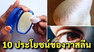 10 ประโยชน์ของ วาสลีน (vaseline) สารพัดประโยชน์ นอกจาก บำรุงผิว ส้นเท้าแตก ยังมีอะไรที่คาดไม่ถึง