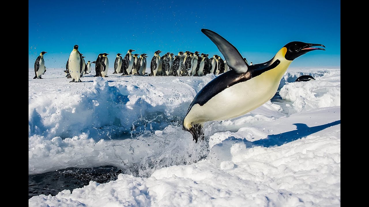 Top 10 Most Amazing Facts About Antarctica YouTube