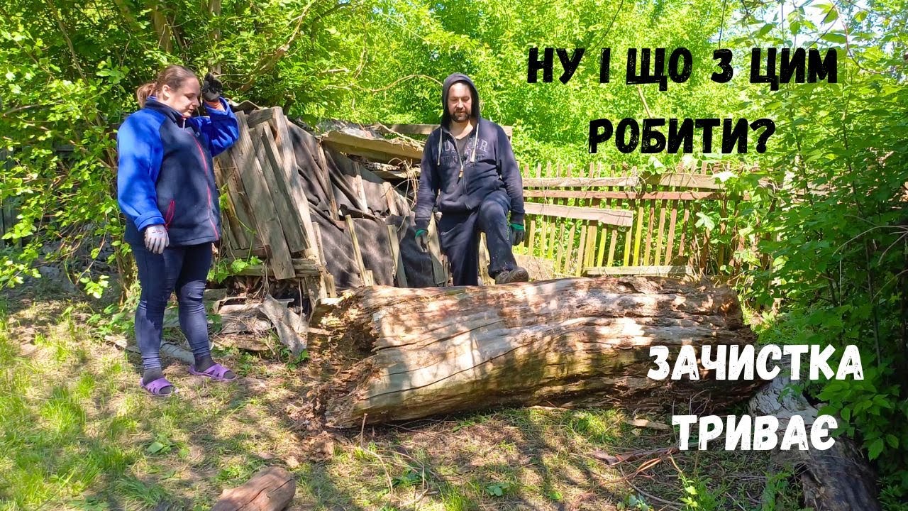 Життя за містом Ми в хащах Що робити? Переїхали з міста в село