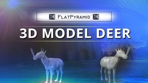 3D Model Deer Review