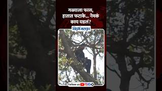 Mumbai | गळ्याला फास, हातात फटाके... नेमकं काय घडलं? #protest #shetkari #karjmafi #mumbai