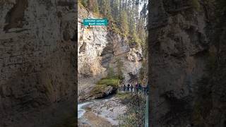 Johnston Canyon #nature #naturalbeauty #shortvideo #waterfall #tourist #banff #canada #shorts