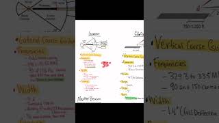 What Is The Localizer?