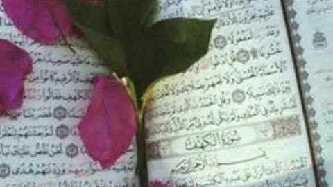 سورة القدر بصوت جميل 💖