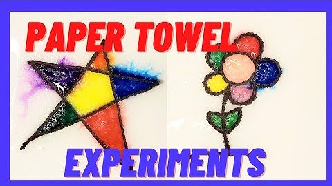 Paper Towel Magic Trick Easy Science Experiments