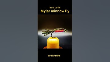 How to tie a mylar minnow fly.
