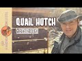 How to set up a successful quail hutch for eggs and meat