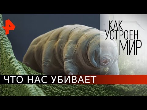 Что нас убивает. Как устроен мир с Тимофеем Баженовым (12.05.20).