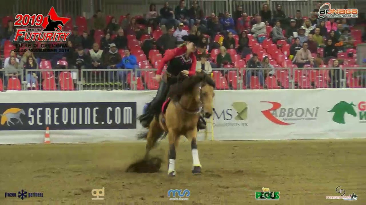 Futurity 2019 - SHARON DE GROOT & TINSEL WHIZINGTON score 210