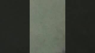 Imo Live Video Calling Delhi