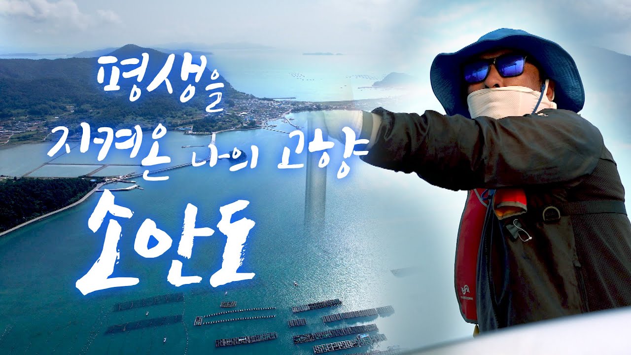 45년 사는 동안 한 번도 나간 적 없어요. 낚시도 하고 돈도 벌고 여기가 편합니다 #완도 #소안도 #어영차바다야