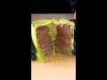 【SNSで流行ってるプリングルズのあれ、やってみた】抹茶チョコで作る甘じょっぱいクセになる背徳系おやつレシピ / Matcha potato chip chocolate