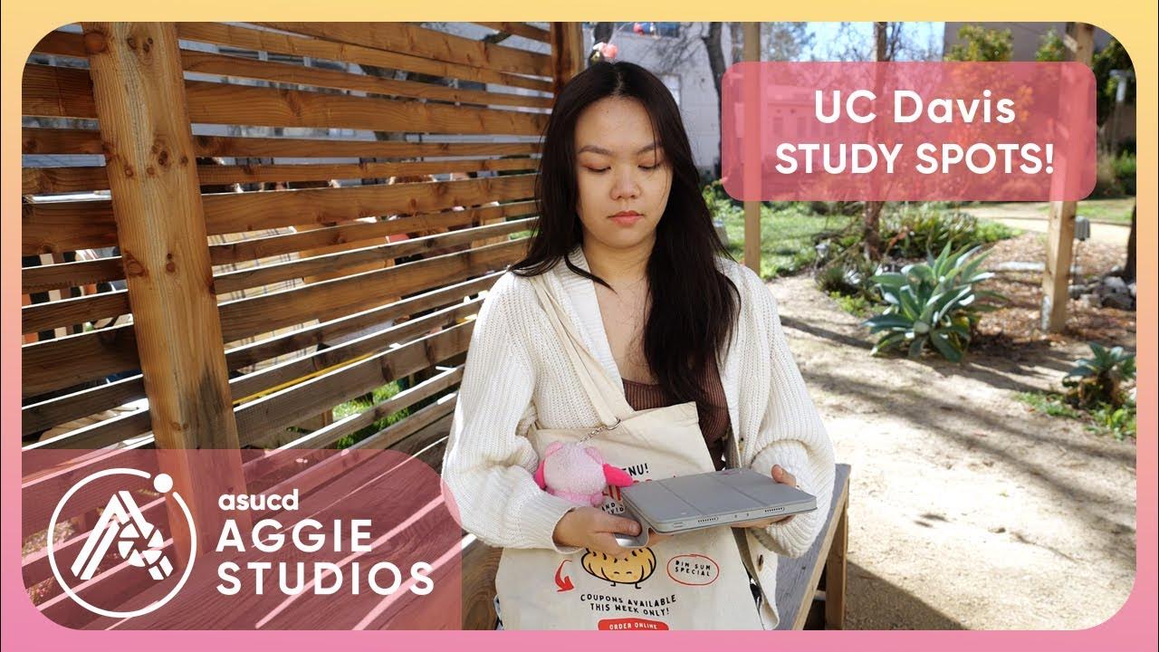 What Are The Best STUDY SPOTS At UC Davis Ranking The Best Locations what-are-the-best-study-spots-at-uc-davis-ranking-the-best-locations