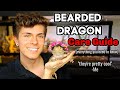 Bearded Dragon Care Guide! (EVERYTHING you need to know)