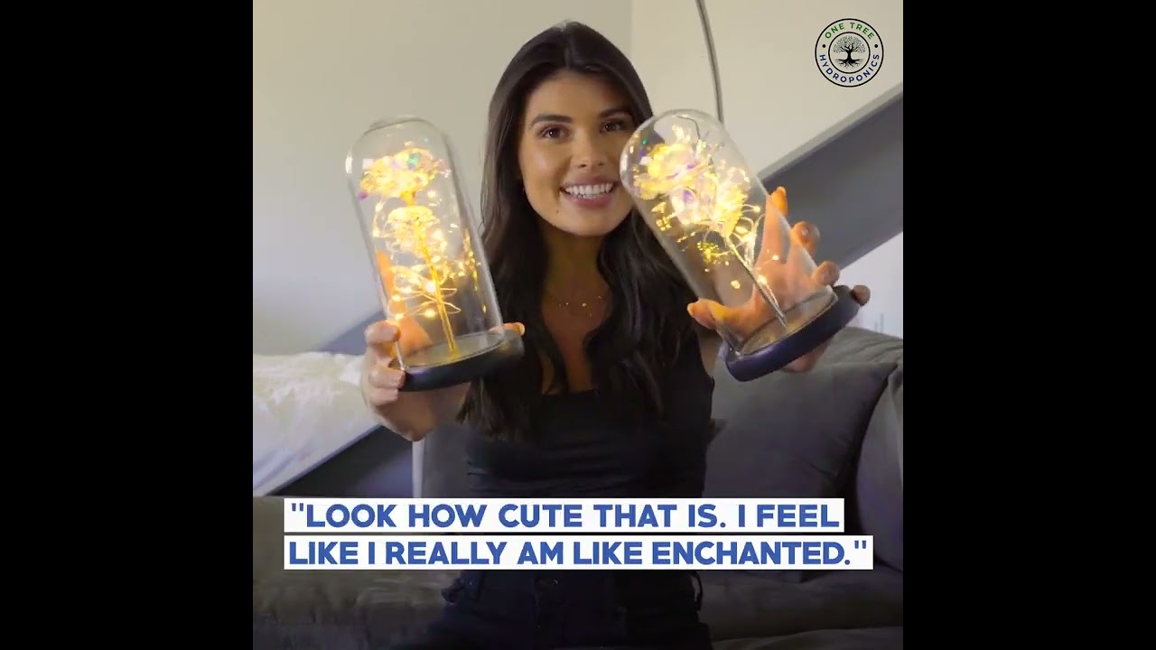 LED Enchanted Galaxy Rose