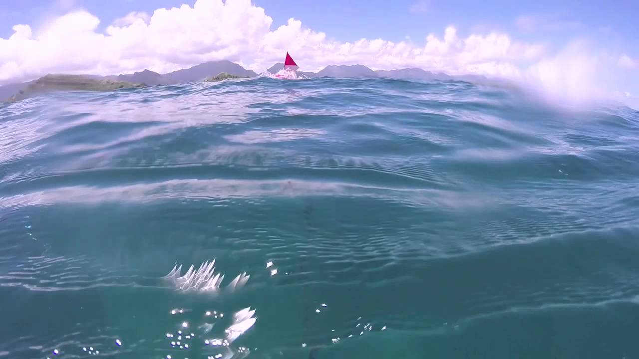 Spearfishing Hawaii Oahu YouTube