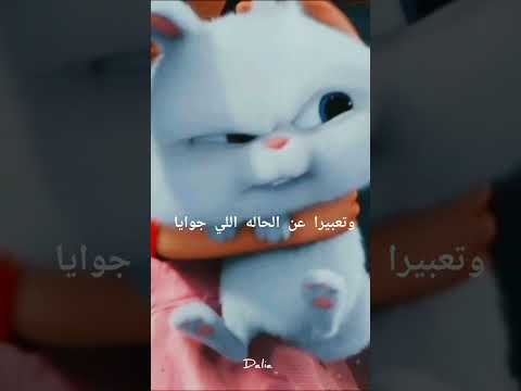 وتعبيرا عن الحاله اللي جوايا لايك فولو كومنت