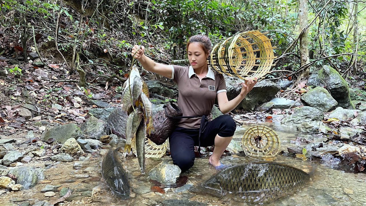 Weaving Bamboo Baskets to Trap Fish - Young Girl Catches a Large School ...