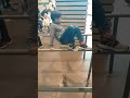 Campionatul de gimnastică ikea