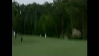 Tiger Woods: The Tiger Slam