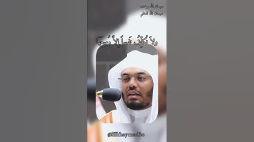 ولا نكلف نفسا إلا وسعها || ياسر الدوسري #اكسبلور #المصحف #قرآن #تلاوات #ياسر_الدوسري