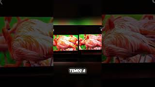 TVs: Mini LED vs QLED - Cores Mais Vivas e Contraste Incrível! #shorts