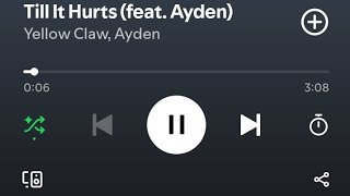 Yellow Claw - Till It Hurts (Ft. Ayden) Lyrics Songs