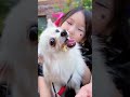 小丑一家人帮助被欺负小狗。#Fairy#fairytales
