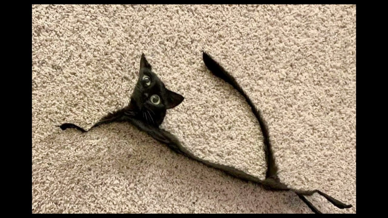 Jeffrey Earl Jacobus - Oh Yeah