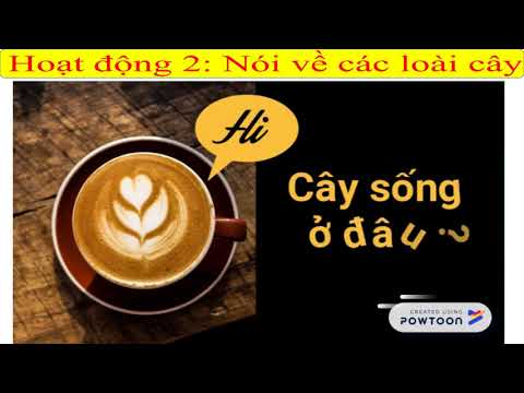 TNXH lớp 2. Bài Cây sống ở đâu?