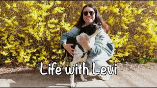 Life with Levi (short documentary)