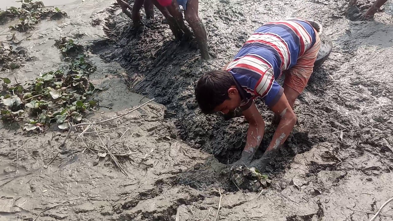 কাদা থেকে বড় বড় শৈল মাছ ধরার ভিডিও ! Best hand fish video 2020