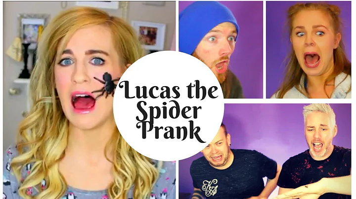 Irish People React to "Lucas The Spider" for the f...