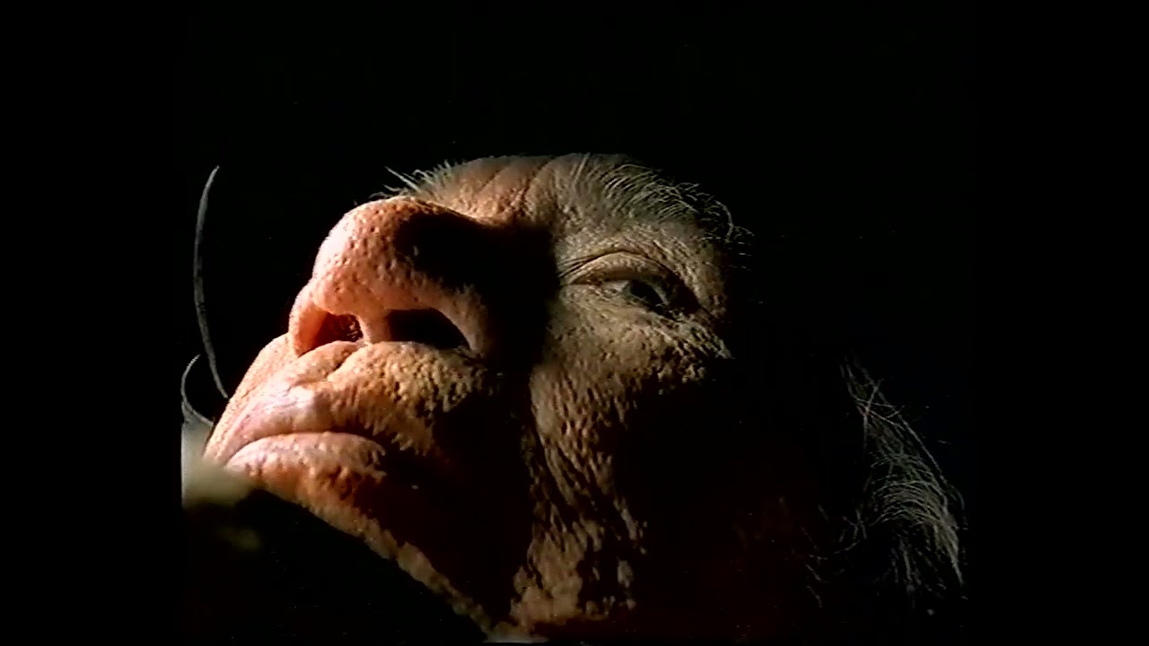 RTL 7 - Blok reklamowy oraz zapowiedź. 12.12.1997 r.