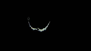 Houdini rtvfx 5 rendered 4