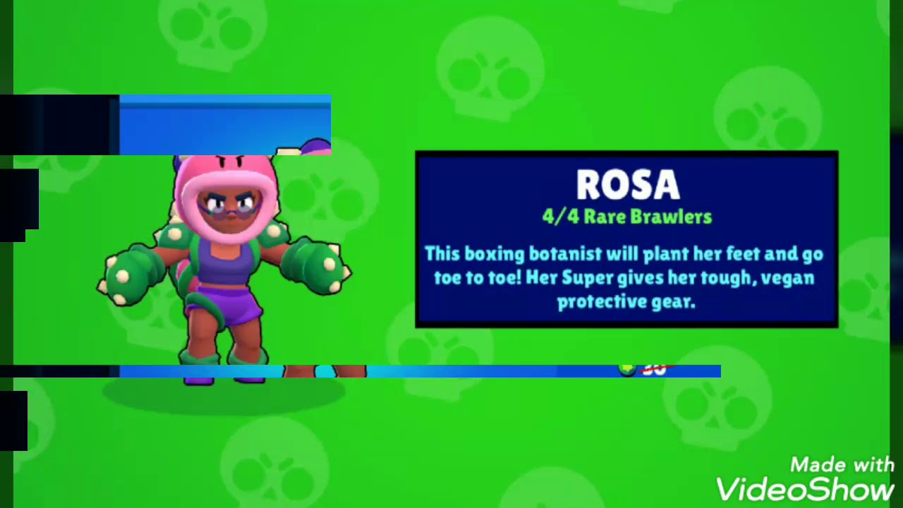 Rosa - New Brawler