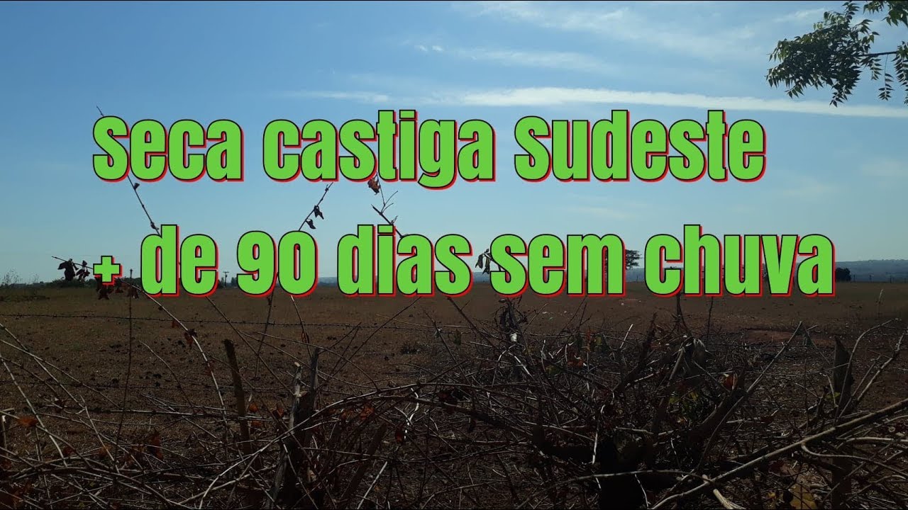 Mais de 90 dias sem chuva, à seca também castiga o Sudeste