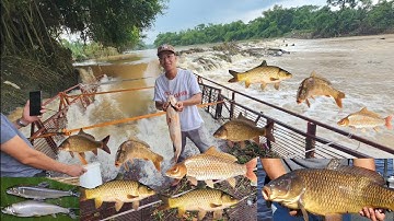 (Tập 3) Trực tiếp bắt Cá mùa Lũ trúng ổ cá khủng trên Sa cá. Hoàng Hiền