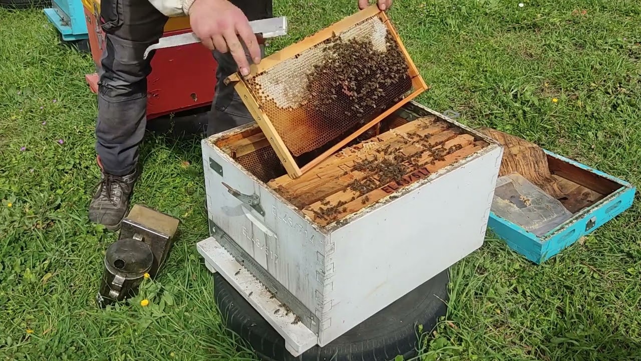 Πρώτη επιθεώρηση για το 2023, Καλή σαρακοστή