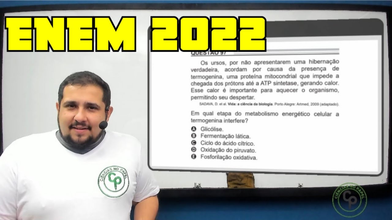 Os Ursos Por Não Apresentarem - RETOEDU